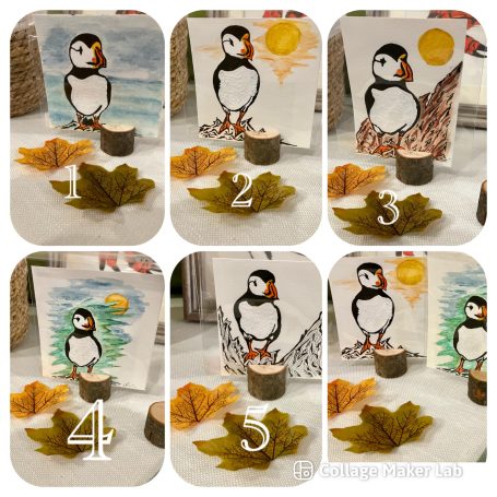 Bempton Puffins